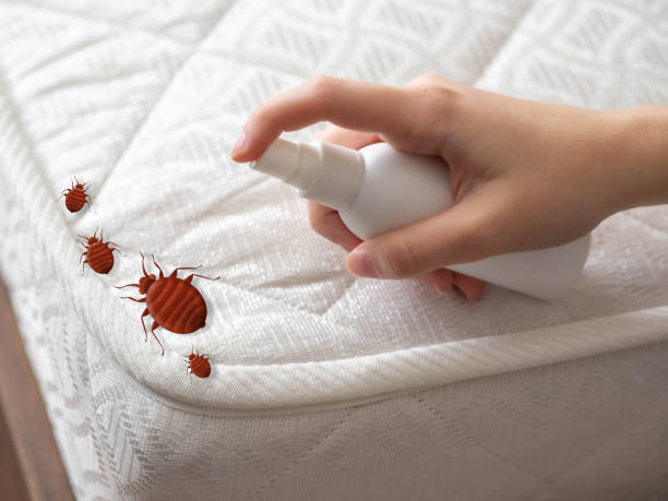 Best Pest Inspection Near Me  in Mcmurray, PA