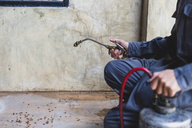 Best Local Pest Control Services  in Mcmurray, PA